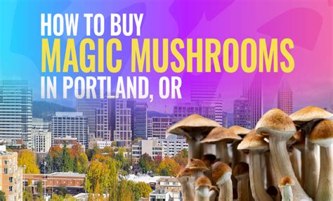 It is the most well known psilocybin mushroom due to. . Where to buy mushrooms in portland